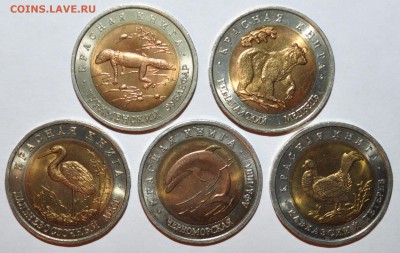 Красная книга 1993г. до 07.03.15 в 22:00 Мск - DSC_0005.JPG