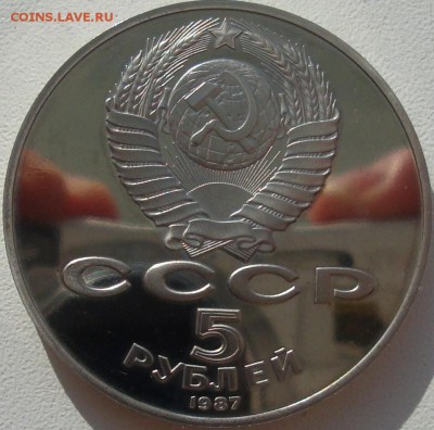 Шайба и разное - DSC05358.JPG