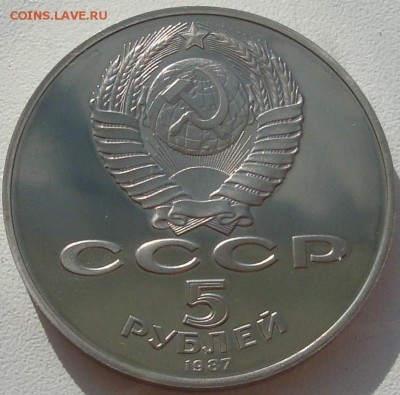 Шайба и разное - DSC05369.JPG