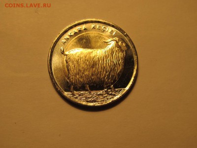 Турция, 1 лира 2015. Кошка и Коза. - IMG_3036.JPG