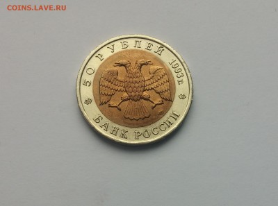КК Гималайский медведь 10,03,2015 22,00МСК - Медведь1