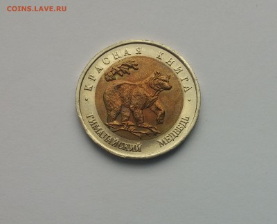 КК Гималайский медведь 10,03,2015 22,00МСК - Медведь