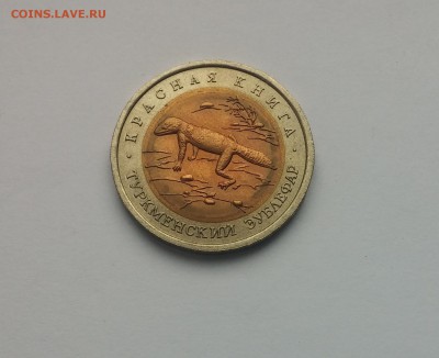 КК Туркменский зублефар  до 10,03,2015 22,00МСК - Туркменский зублефар