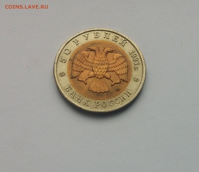 КК Туркменский зублефар  до 10,03,2015 22,00МСК - Туркменский зублефар1