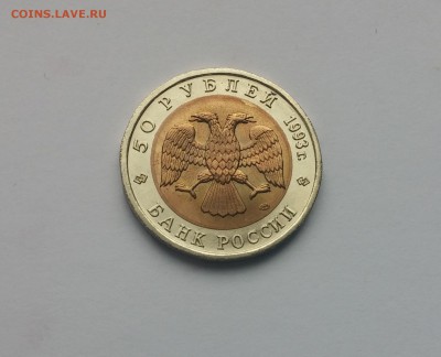 КК Дальневосточный аист 10,03,2015 22,00МСК - Дальневосточный аист1