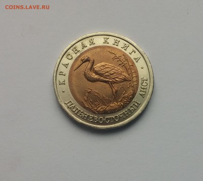 КК Дальневосточный аист 10,03,2015 22,00МСК - Дальневосточный аист