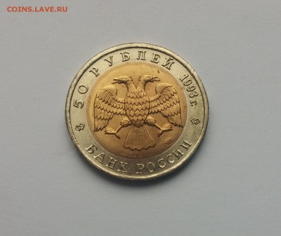 КК Черноморская афалина до 10,03,2015 22,00МСК - Черноморская алфина1