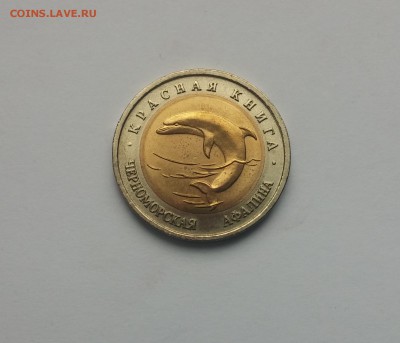 КК Черноморская афалина до 10,03,2015 22,00МСК - Черноморская алфина