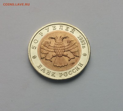 КК Кавказский тетерев до 10,03,2015 22,00МСК - Кавказский тетерев1