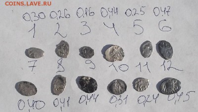 12 чешуек. - DSCF6921.JPG