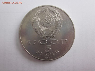 №7 ШАЙБА быстро до 9.08 - IMG_1118.JPG