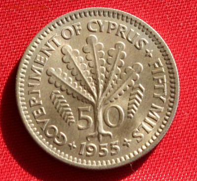 С 1 руб. БРИТАНСКИЙ КИПР 50 милс 1955г.ДЕРЕВО до 11.03.15г. - IMG_3935.JPG