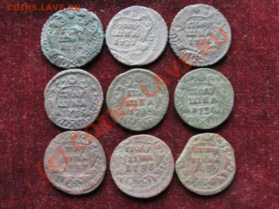 9 полушек с 1731 по 1739 гг до 10 июня, 22.00 мск - DSC00667.JPG