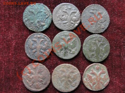 9 полушек с 1731 по 1739 гг до 10 июня, 22.00 мск - DSC00668.JPG