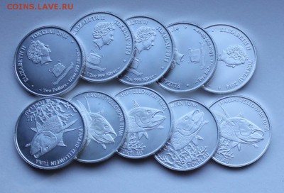 2 oz 08.03.22:15 - тунец пол