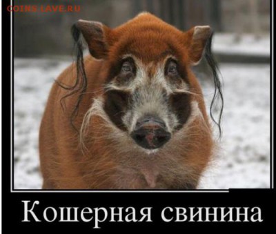 юмор - image