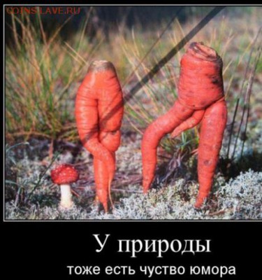 юмор - image