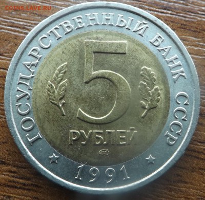 Красная книга Рыбный филин 09.03.2015 - DSCF7539_cr