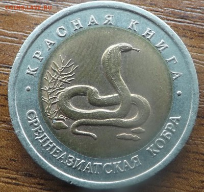 Красная книга. Среднеазиатская кобра 09.03.2015 - DSCF7540_cr