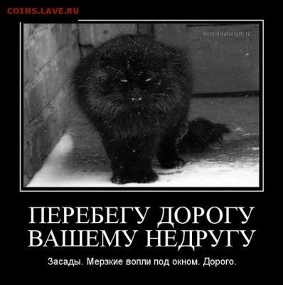 Любите ли вы кошек? - 8