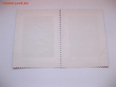 гаш)!до 9.03.2015 - IMG_2638.JPG