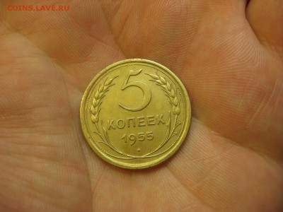 5 копеек 1955 (AZ-284) Красивая. ---- 12.03.15, в 22.10 - IMG_0313.JPG