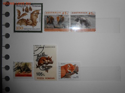 Марки ЖИВОТНЫЕ, 27 разных, до 13.03.2015 - DSCN5904.JPG