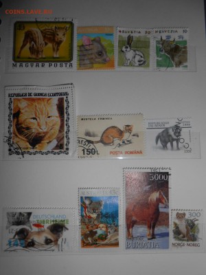 Марки ЖИВОТНЫЕ, 27 разных, до 13.03.2015 - DSCN5903.JPG