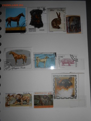 Марки ЖИВОТНЫЕ, 27 разных, до 13.03.2015 - DSCN5902.JPG