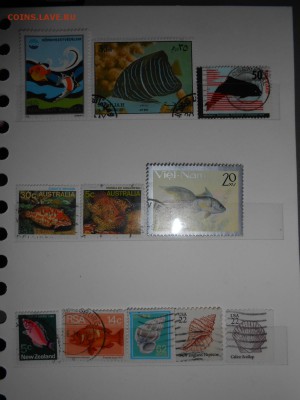 Марки РЫБЫ и РАКОВИНЫ, до 13.03.2015 - DSCN5911.JPG