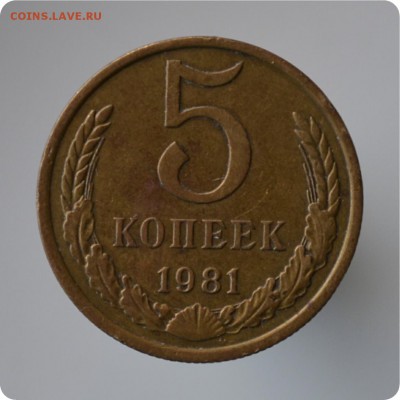 5 копеек 1981 год Кант? - DSC_0439.JPG