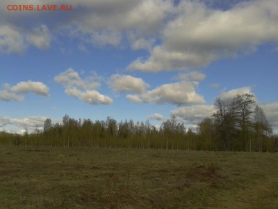 Покопушки от Русланыча . - 5467565