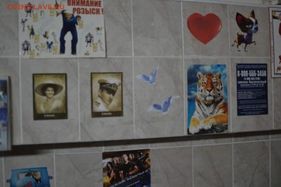 кинофлаер - DSC_0018.JPG