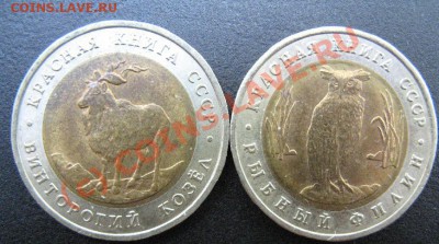 КРАСНАЯ КНИГА 1991г до 9.06.10 22-00 - 457.JPG