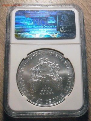 1 доллар США, 2005 год, в слабе NGC, BU, до 16.03.2015 в 22 - P1010068.JPG
