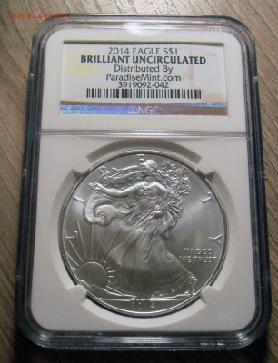 1 доллар США, 2014 год, в слабе NGC, BU, до 16.03.2015 в 22 - P1010065.JPG