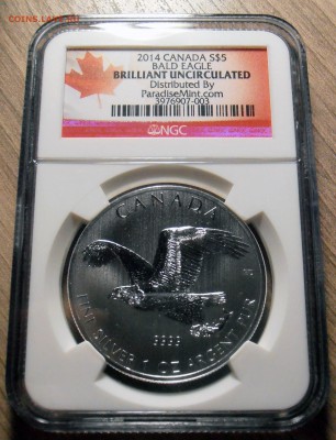 5 долларов 2014, Канада, в слабе NGC, BU, до 16.03.2015 в 22 - P1010069.JPG