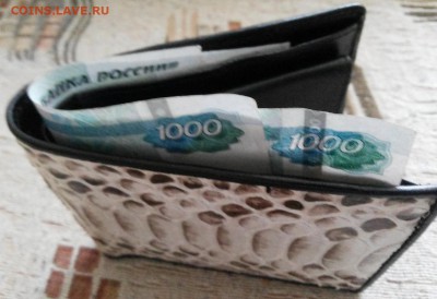 Портмоне из кожи питона. до 15.03.15. 22-00. - 20150215_004200