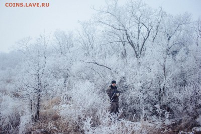 Ну а теперь про Украину - 496