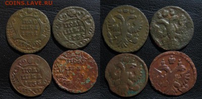 Лот полушек 1731-1739 до 12.03.15 - лот полушек