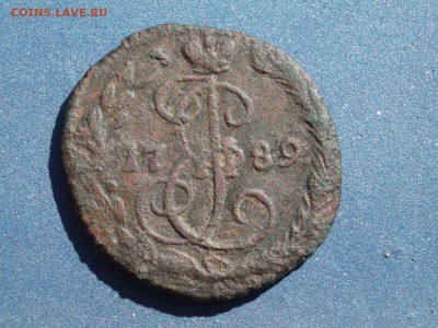 денга 1789 - P1010066.JPG