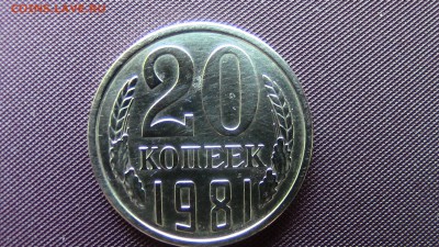 20копеек 1981год. шт 3.3 - IMG_2326.JPG