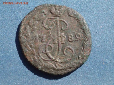 денга 1789 - P1010064.JPG