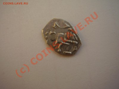 Чешуйка Петра на определение - P1100397.JPG