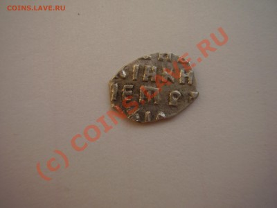 Чешуйка Петра на определение - P1100398.JPG