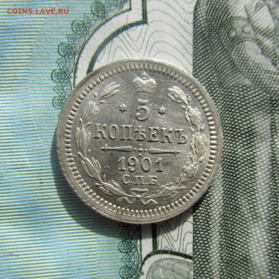 5 копеек 1901 год СПБ ФЗ - КРАСАВИЦА до 17.03 до 22.00 - IMG_8335