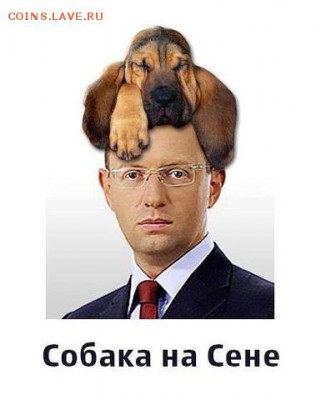 юмор - собака на сене