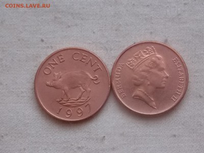 Иностранные монеты, наборы, 2евро, польша, приднестр, Киргиз - Бермуды 1 цент 1997.JPG