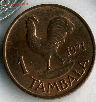 Малави 1 тамбала 1971          до  16.03.15.--- в 22- 00 - img134 - копия - копия