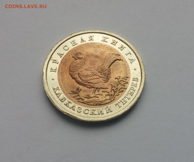 Кавказский тетерев 1993г. до 15,03,2015 22,00МСК - Кавказский тетерев